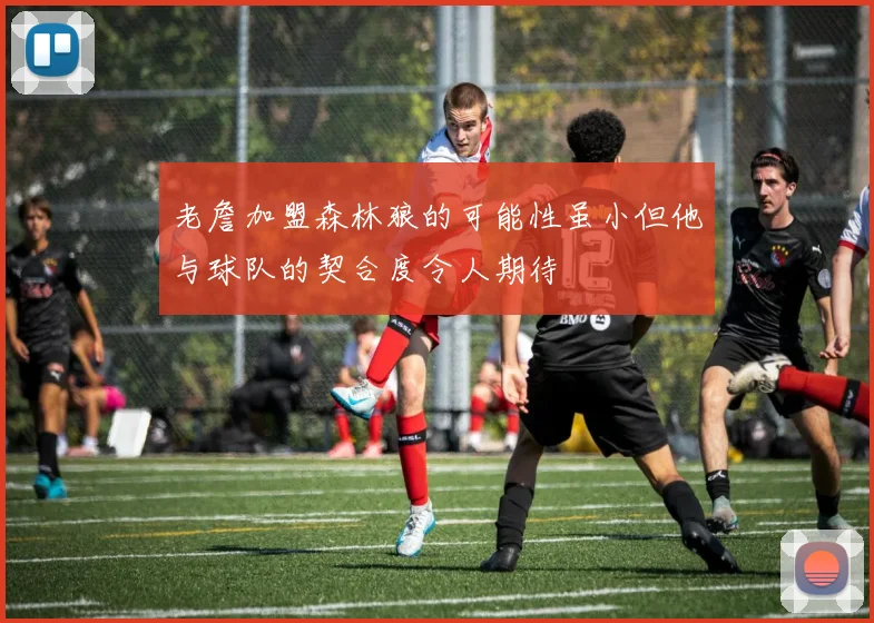 老詹加盟森林狼的可能性虽小但他与球队的契合度令人期待