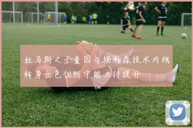 杜马斯之子奎因与杨瀚森技术内线转身出色但防守能力待提升