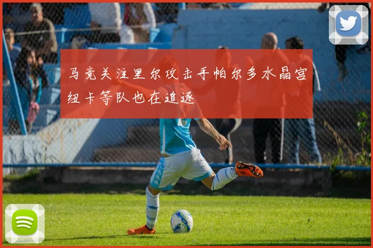 马竞关注里尔攻击手帕尔多水晶宫纽卡等队也在追逐